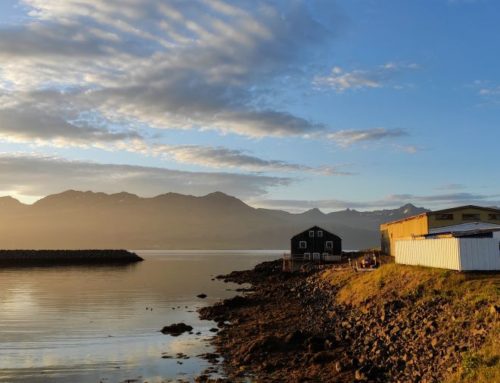 Fiordos del Este de Islandia: qué ver en una ruta de 1 día