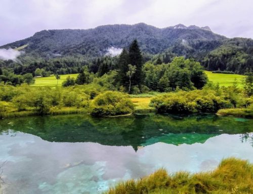 Reserva Natural de Zelenci y Lago Jasna: las joyas de Kranjska Gora